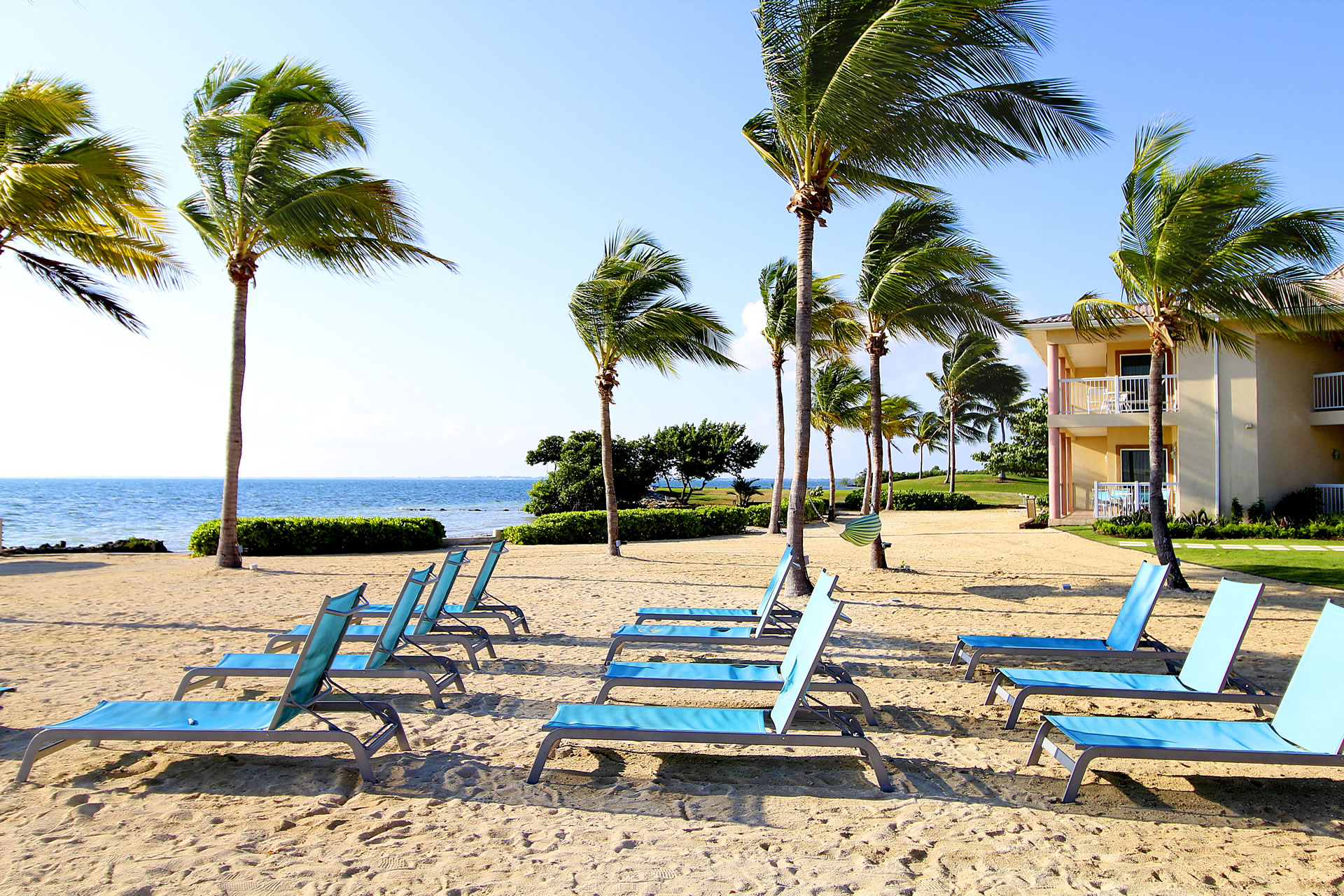 Lounge chairs in three rows at the Grand Caymanian Resort beach.