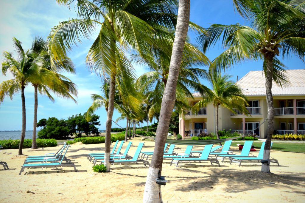 Beach lounge chairs lined up on the beach amidst palm trees at the Grand Caymanian Resort.