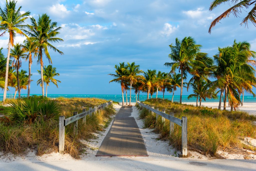 A walkway through sand dunes down to a palm tree-lined beach.