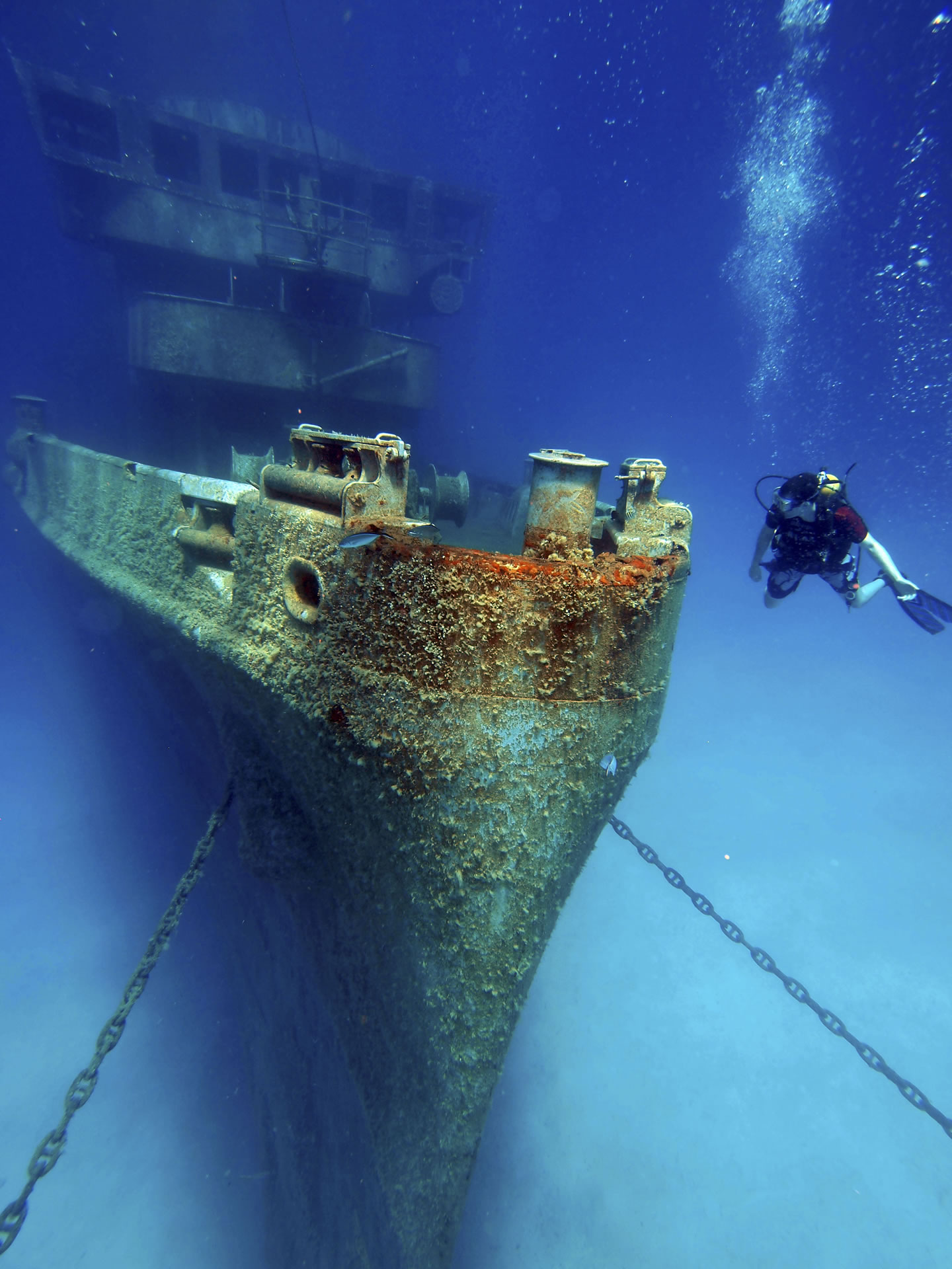 Scuba diver explores the underwater shipwreck of the USS Kittiwake.