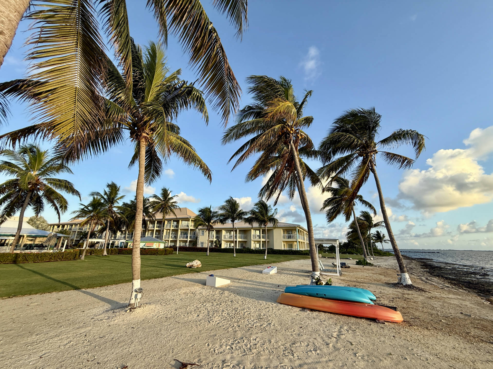 Kayaks and palm trees on the beach at Grand Caymanian Resort