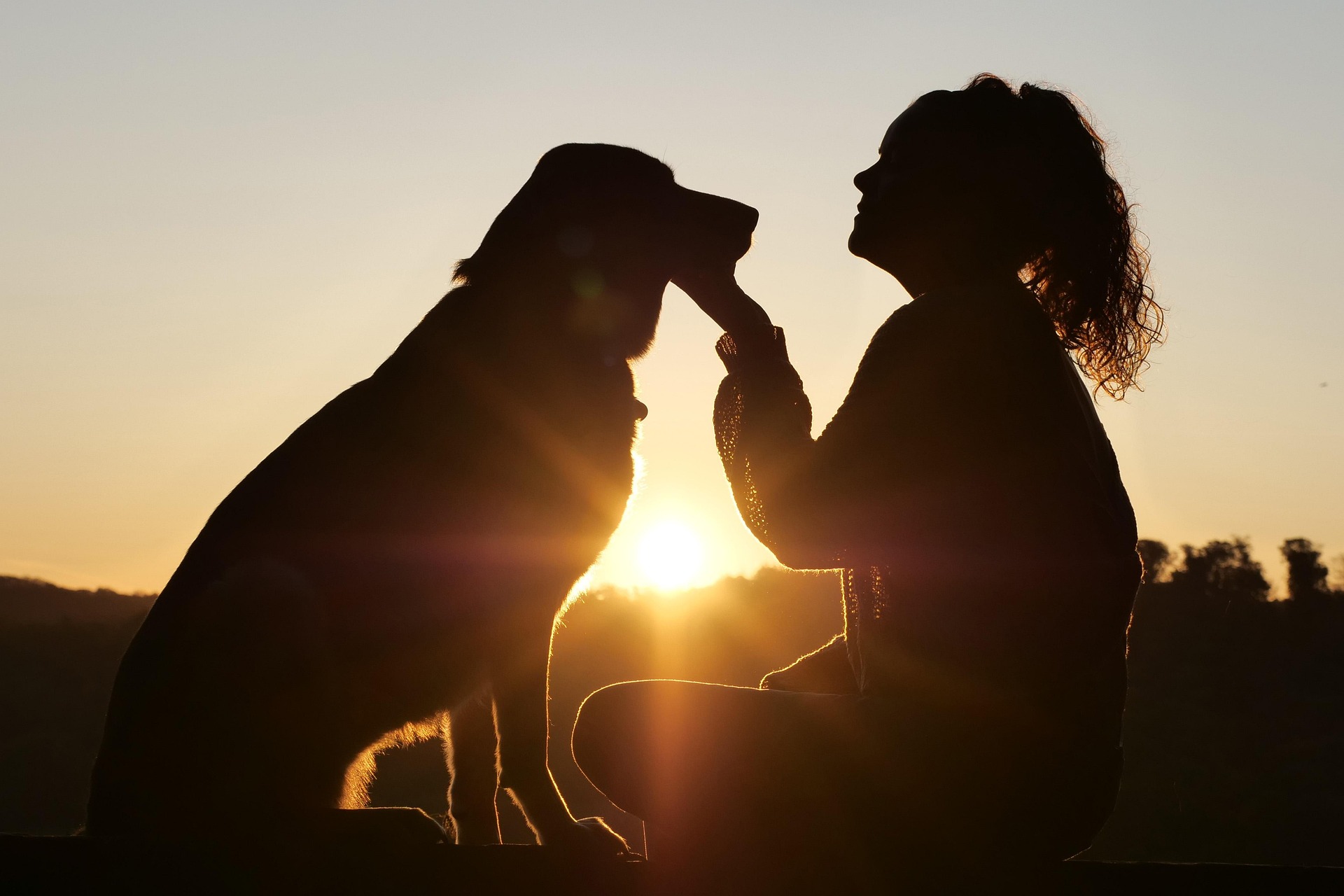woman petting her dog against a sunset